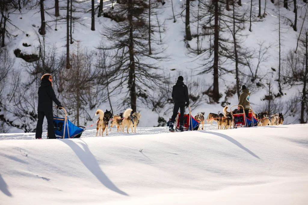 Persone in escursione con slitte trainate da husky in una foresta innevata, attività di gruppo ideale per team building o feste private.