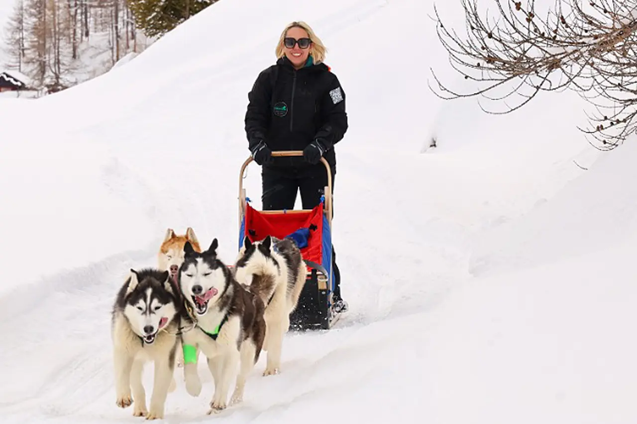 Sleddog a Cervinia con Georgeta, responsabile comunicazioni, insieme ai suoi husky nella neve.